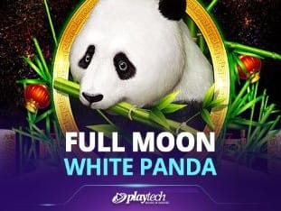 Full Moon_ White Panda™ game icon